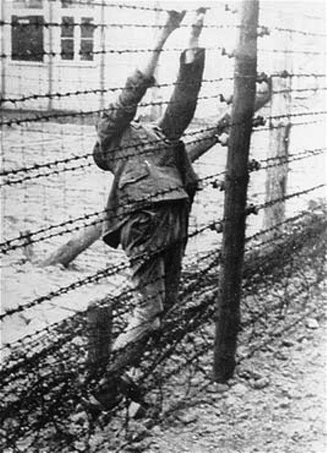 Suicide at Mauthausen